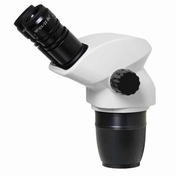 Euromex NexiusZoom binocular head without head holder - NZ.5302